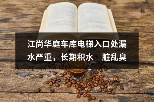 江尚华庭车库电梯入口处漏水严重，长期积水　脏乱臭