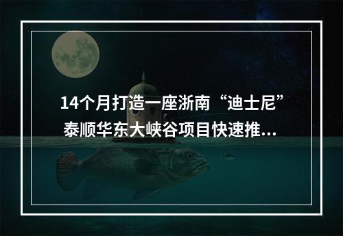 14个月打造一座浙南“迪士尼” 泰顺华东大峡谷项目快速推进