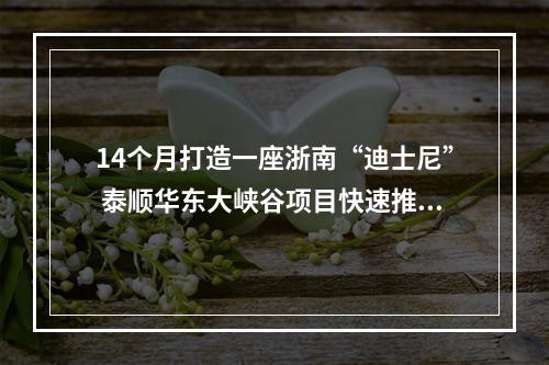 14个月打造一座浙南“迪士尼” 泰顺华东大峡谷项目快速推进