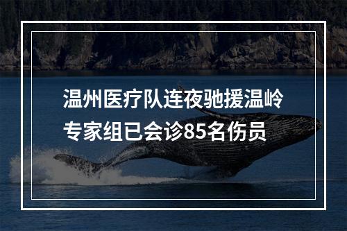 温州医疗队连夜驰援温岭专家组已会诊85名伤员