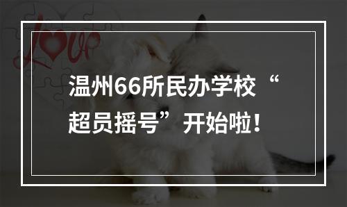 温州66所民办学校“超员摇号”开始啦！