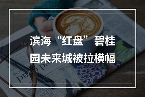 滨海“红盘”碧桂园未来城被拉横幅
