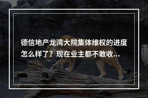 德信地产龙湾大院集体维权的进度怎么样了？现在业主都不敢收房