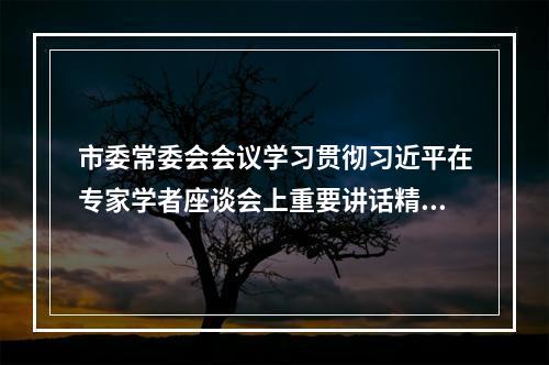市委常委会会议学习贯彻习近平在专家学者座谈会上重要讲话精神