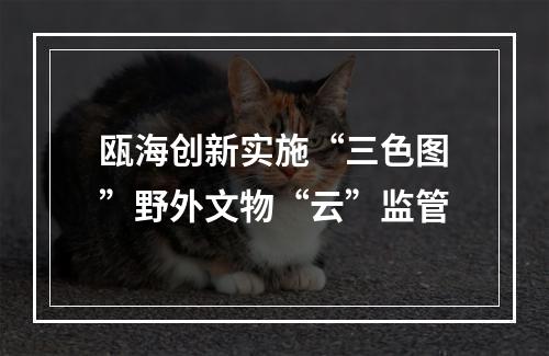 瓯海创新实施“三色图”野外文物“云”监管