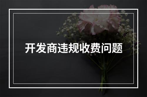 开发商违规收费问题