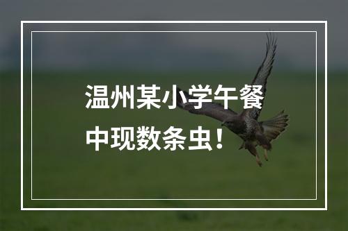 温州某小学午餐中现数条虫！