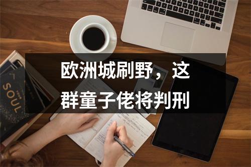 欧洲城刷野，这群童子佬将判刑