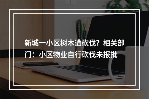 新城一小区树木遭砍伐？相关部门：小区物业自行砍伐未报批