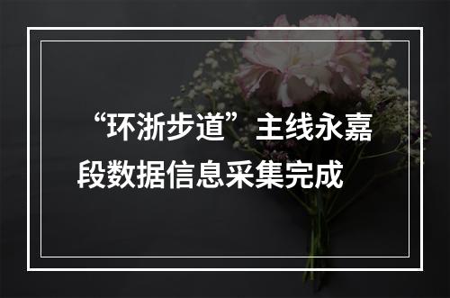 “环浙步道”主线永嘉段数据信息采集完成
