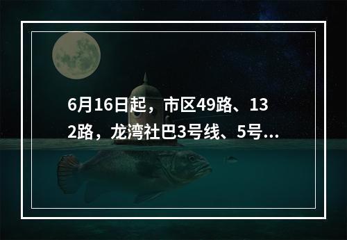 6月16日起，市区49路、132路，龙湾社巴3号线、5号线调整走向