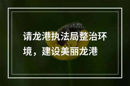 请龙港执法局整治环境，建设美丽龙港