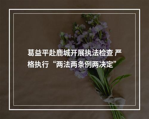 葛益平赴鹿城开展执法检查 严格执行“两法两条例两决定”