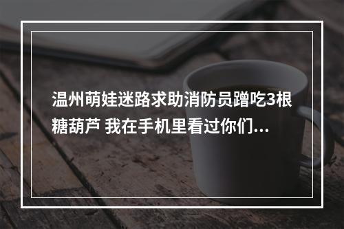 温州萌娃迷路求助消防员蹭吃3根糖葫芦 我在手机里看过你们灭火