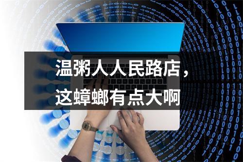 温粥人人民路店，这蟑螂有点大啊