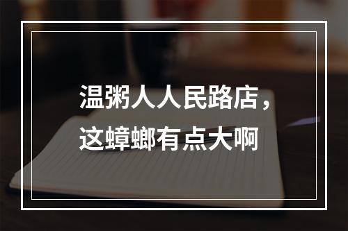 温粥人人民路店，这蟑螂有点大啊