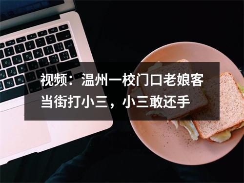 视频：温州一校门口老娘客当街打小三，小三敢还手