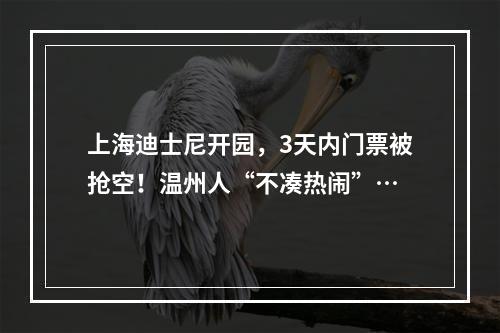 上海迪士尼开园，3天内门票被抢空！温州人“不凑热闹”…
