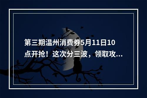 第三期温州消费券5月11日10点开抢！这次分三波，领取攻略看这里