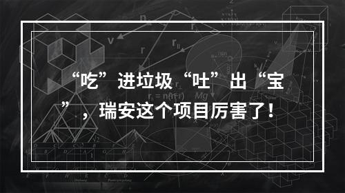 “吃”进垃圾“吐”出“宝”，瑞安这个项目厉害了！