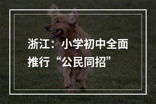 浙江：小学初中全面推行“公民同招”