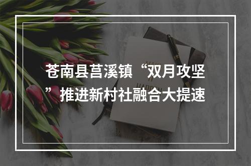 苍南县莒溪镇“双月攻坚”推进新村社融合大提速