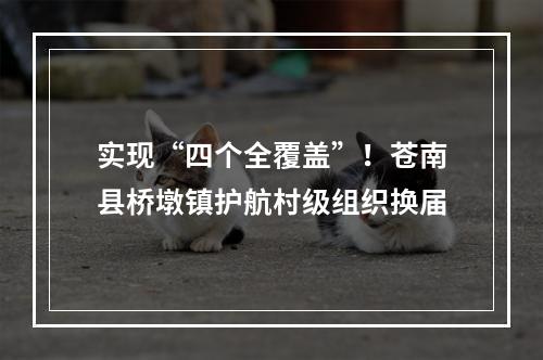 实现“四个全覆盖”！苍南县桥墩镇护航村级组织换届