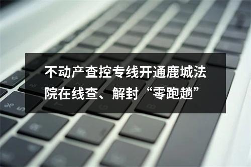 不动产查控专线开通鹿城法院在线查、解封“零跑趟”