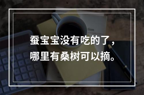 蚕宝宝没有吃的了，哪里有桑树可以摘。
