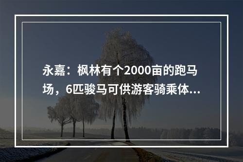 永嘉：枫林有个2000亩的跑马场，6匹骏马可供游客骑乘体验