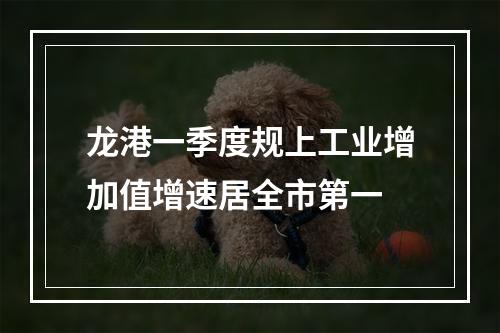 龙港一季度规上工业增加值增速居全市第一