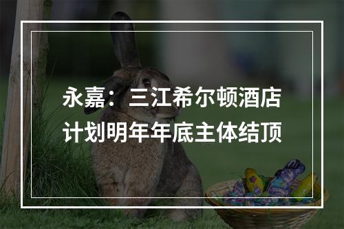 永嘉：三江希尔顿酒店计划明年年底主体结顶
