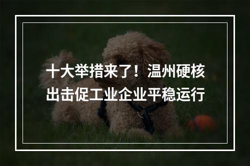 十大举措来了！温州硬核出击促工业企业平稳运行