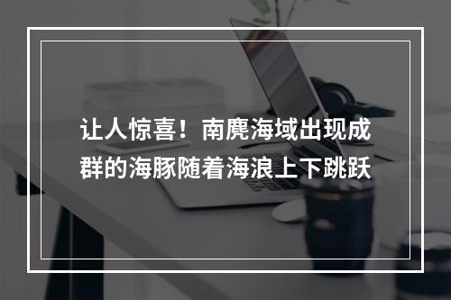 让人惊喜！南麂海域出现成群的海豚随着海浪上下跳跃