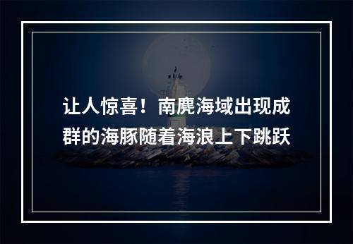 让人惊喜！南麂海域出现成群的海豚随着海浪上下跳跃