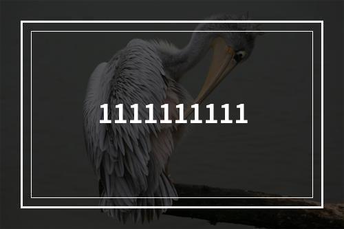 1111111111