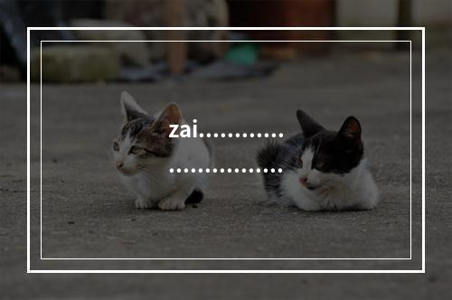 zai.........................................11111111111111