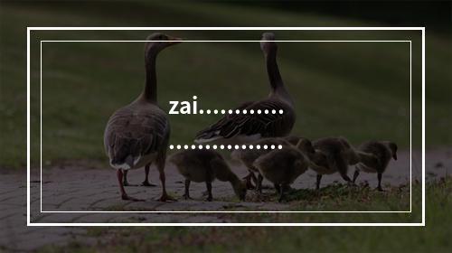 zai.........................................11111111111111