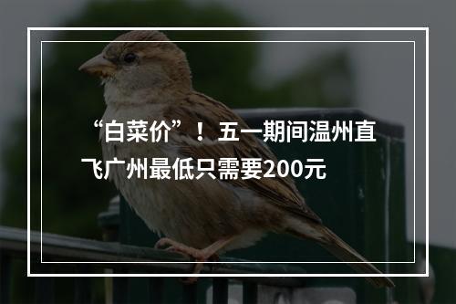 “白菜价”！五一期间温州直飞广州最低只需要200元