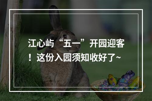 江心屿“五一”开园迎客！这份入园须知收好了~