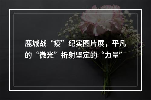 鹿城战“疫”纪实图片展，平凡的“微光”折射坚定的“力量”