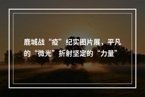 鹿城战“疫”纪实图片展，平凡的“微光”折射坚定的“力量”