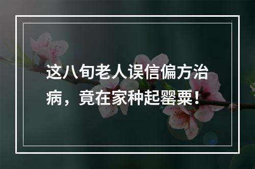 这八旬老人误信偏方治病，竟在家种起罂粟！