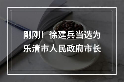 刚刚！徐建兵当选为乐清市人民政府市长