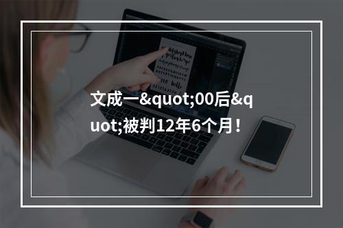 文成一"00后"被判12年6个月！