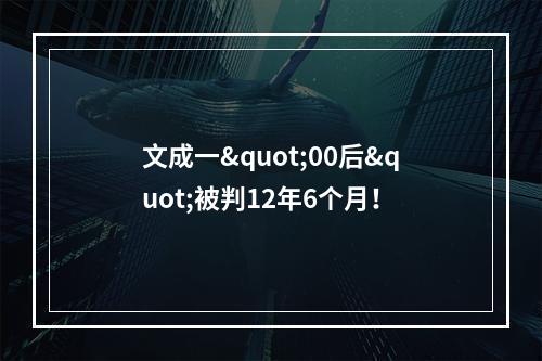 文成一"00后"被判12年6个月！