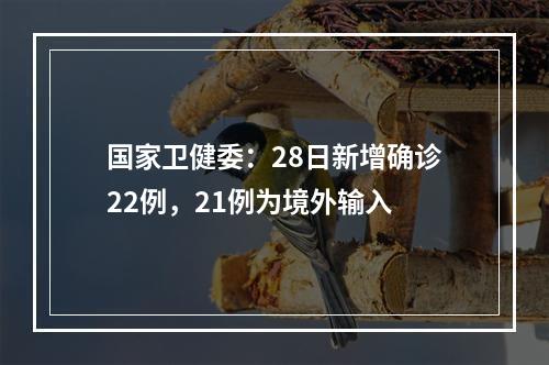 国家卫健委：28日新增确诊22例，21例为境外输入
