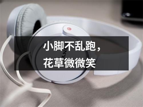 小脚不乱跑，花草微微笑