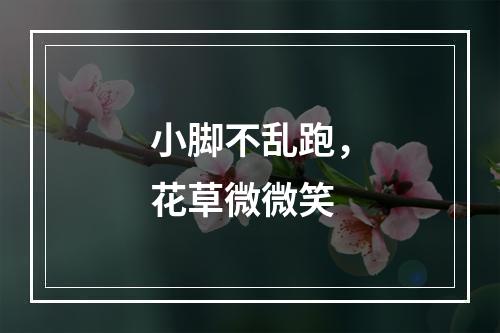 小脚不乱跑，花草微微笑