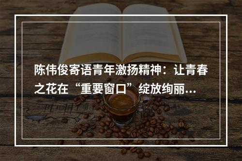 陈伟俊寄语青年激扬精神：让青春之花在“重要窗口”绽放绚丽光彩